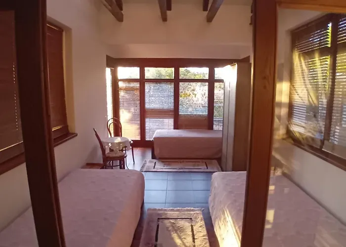 Levendula Vendeghaz *